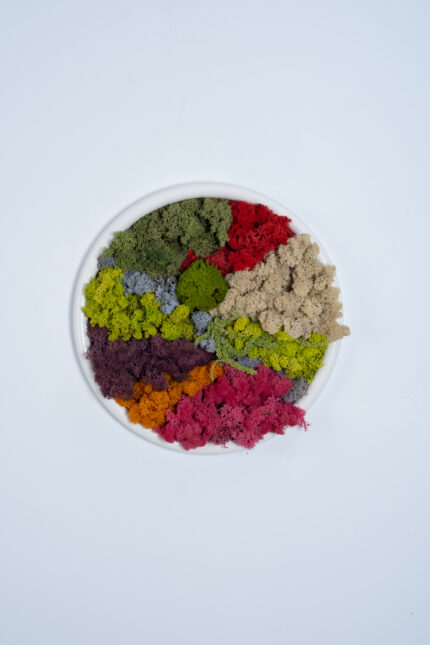 Rainbow Moss Harmony Panel