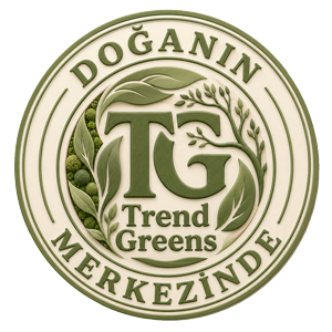 doganin_merkezinde_animasyonlu3